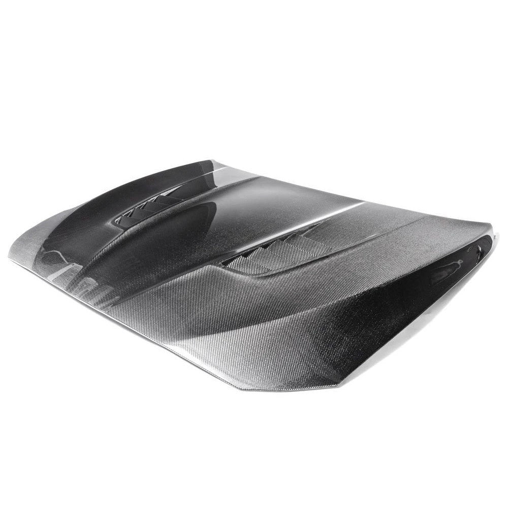 Capot Avant BMW Série 5 F10 - Pour 520d 16V N47-D20C, Occasion